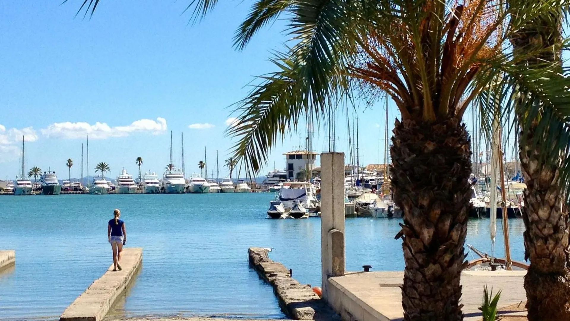 Sunny Spacious Family Apartment In Puerto Pollensa Spain